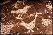 La Cieneguilla Petroglyph Duck