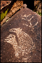 Galisteo Petroglyph