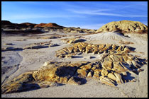 Bisti Badlands Alien Rocks